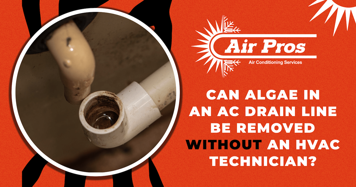 Why is White Slime Clogging Your AC Drain Line?