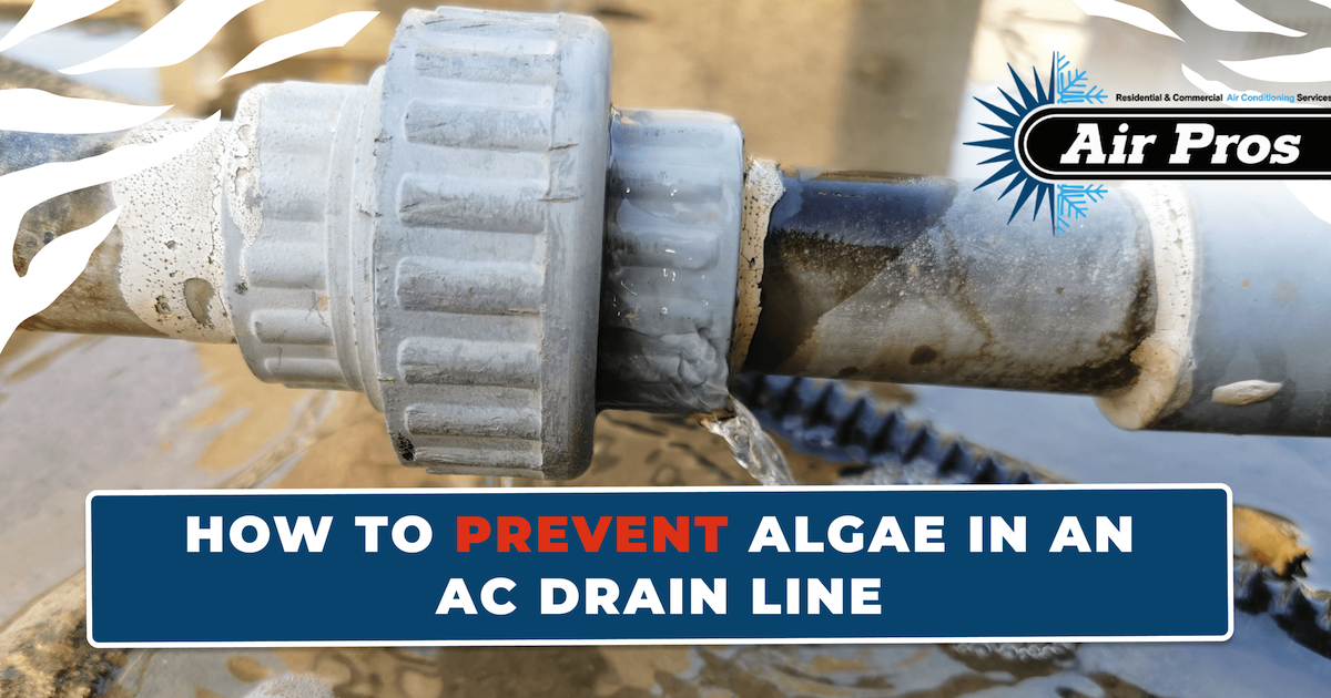 Automatic ac deals drain line cleaner